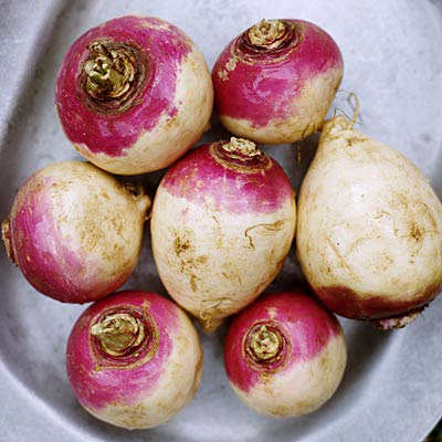 Fall Superfoods-Turnip